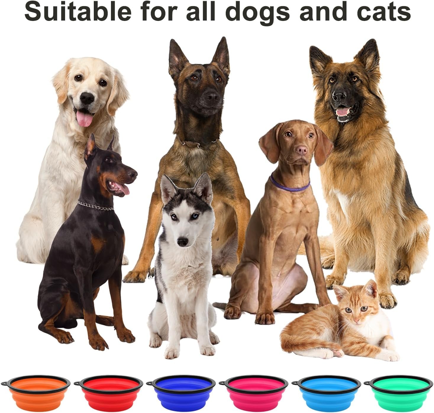 Portable Collapsible Pet Bowl Set
