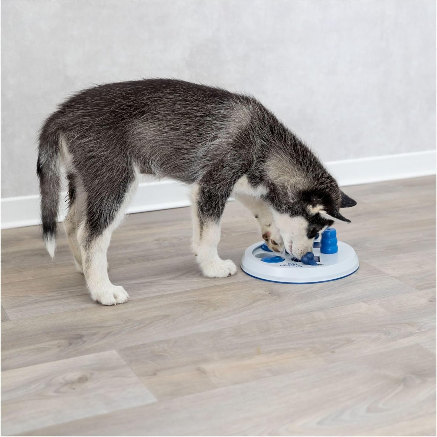Dog Activity Strategy Game Flip Board