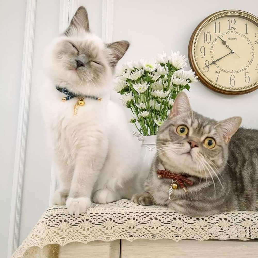 Stylish Cat Collar with Bell & Fish Bone Charm