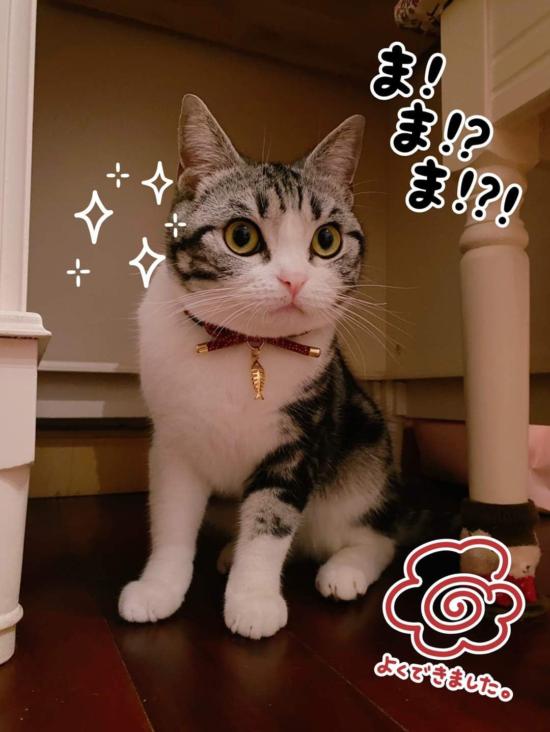 Stylish Cat Collar with Bell & Fish Bone Charm