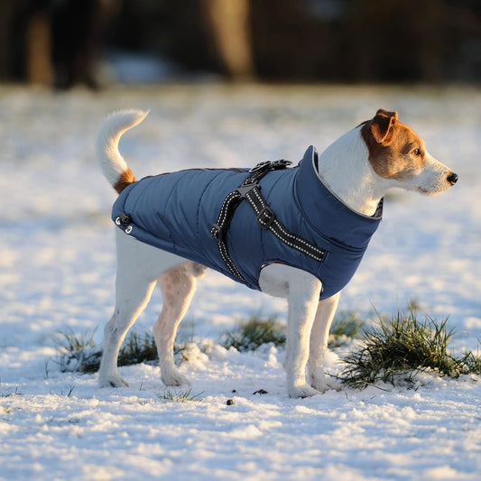 Waterproof Reflective Dog Harness Vest & Winter Coat
