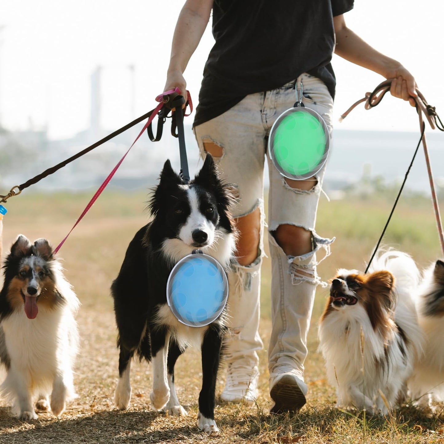 Portable Collapsible Pet Bowl Set