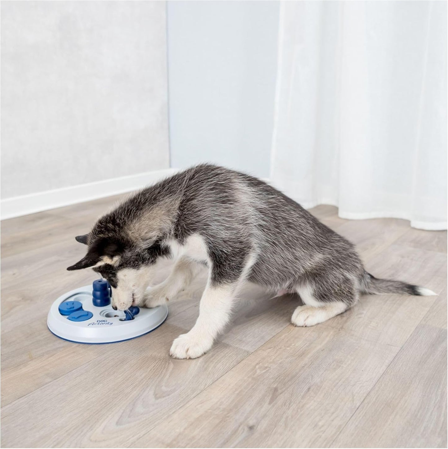 Dog Activity Strategy Game Flip Board