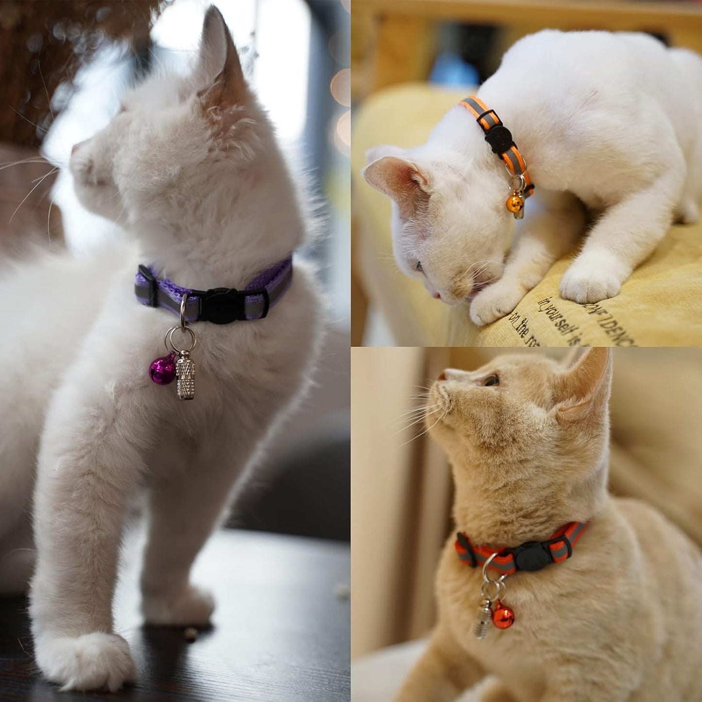 Reflective Cat Collar with Quick Release Buckle