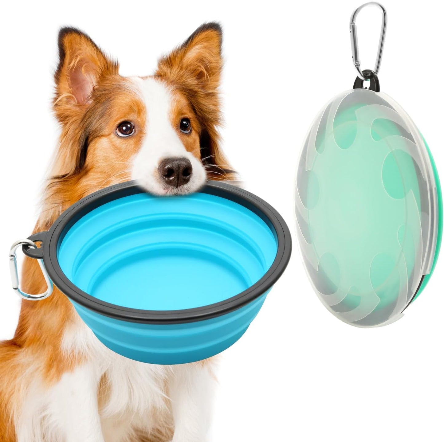 Portable Collapsible Pet Bowl Set