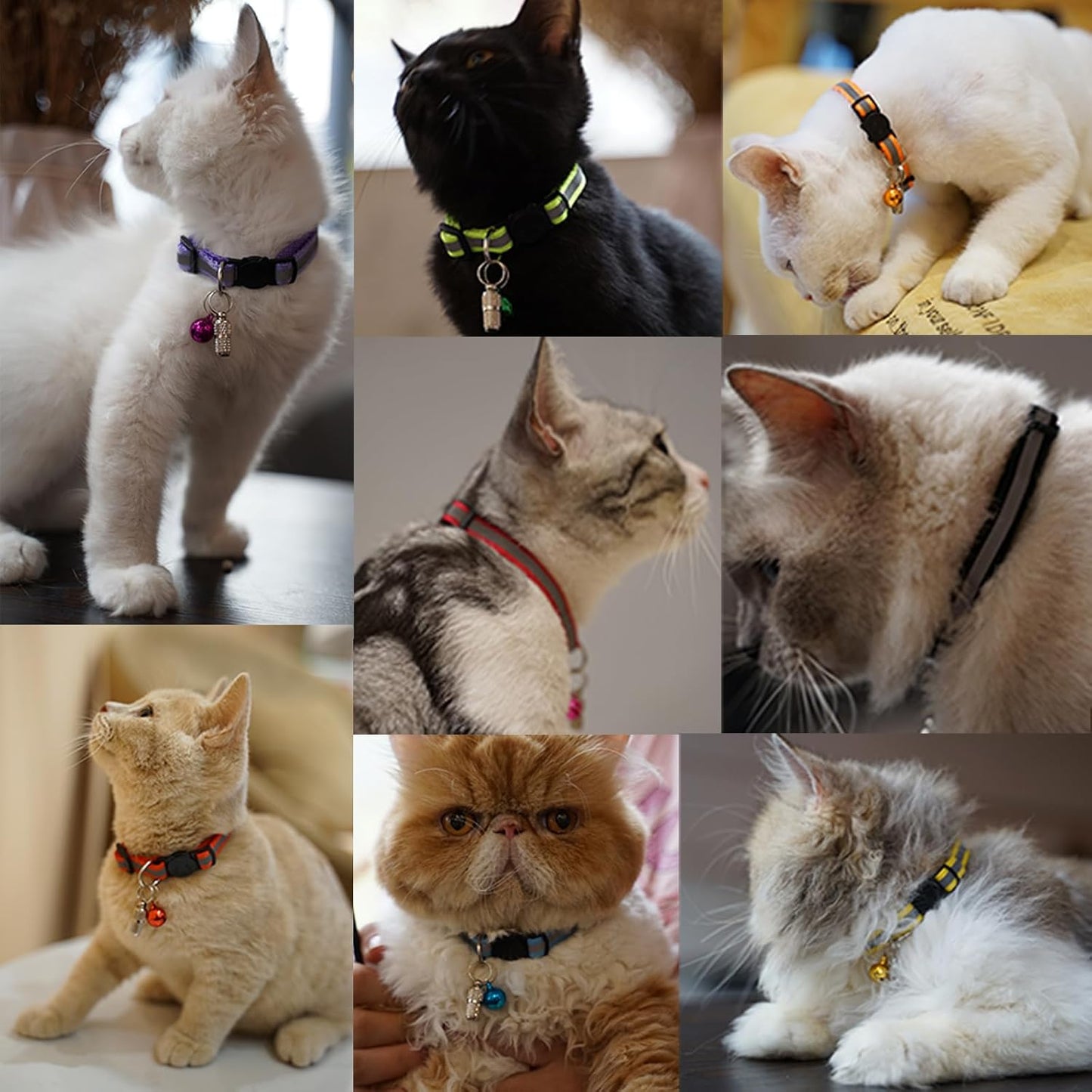 Reflective Cat Collar with Quick Release Buckle