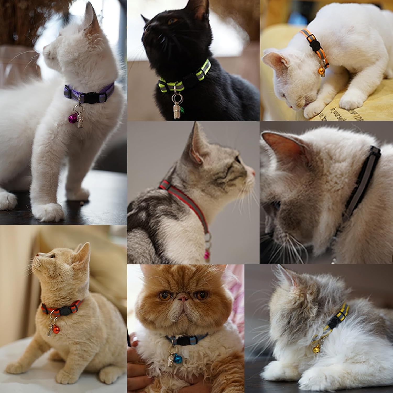 Reflective Cat Collar with Quick Release Buckle