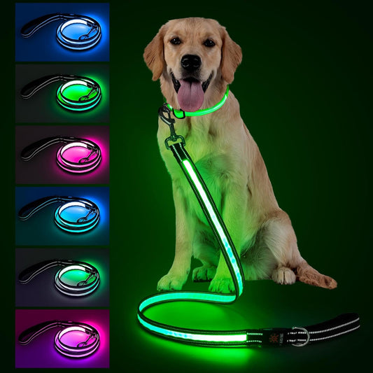 Rechargeable LED Pet Leash with 7 Lighting Modes