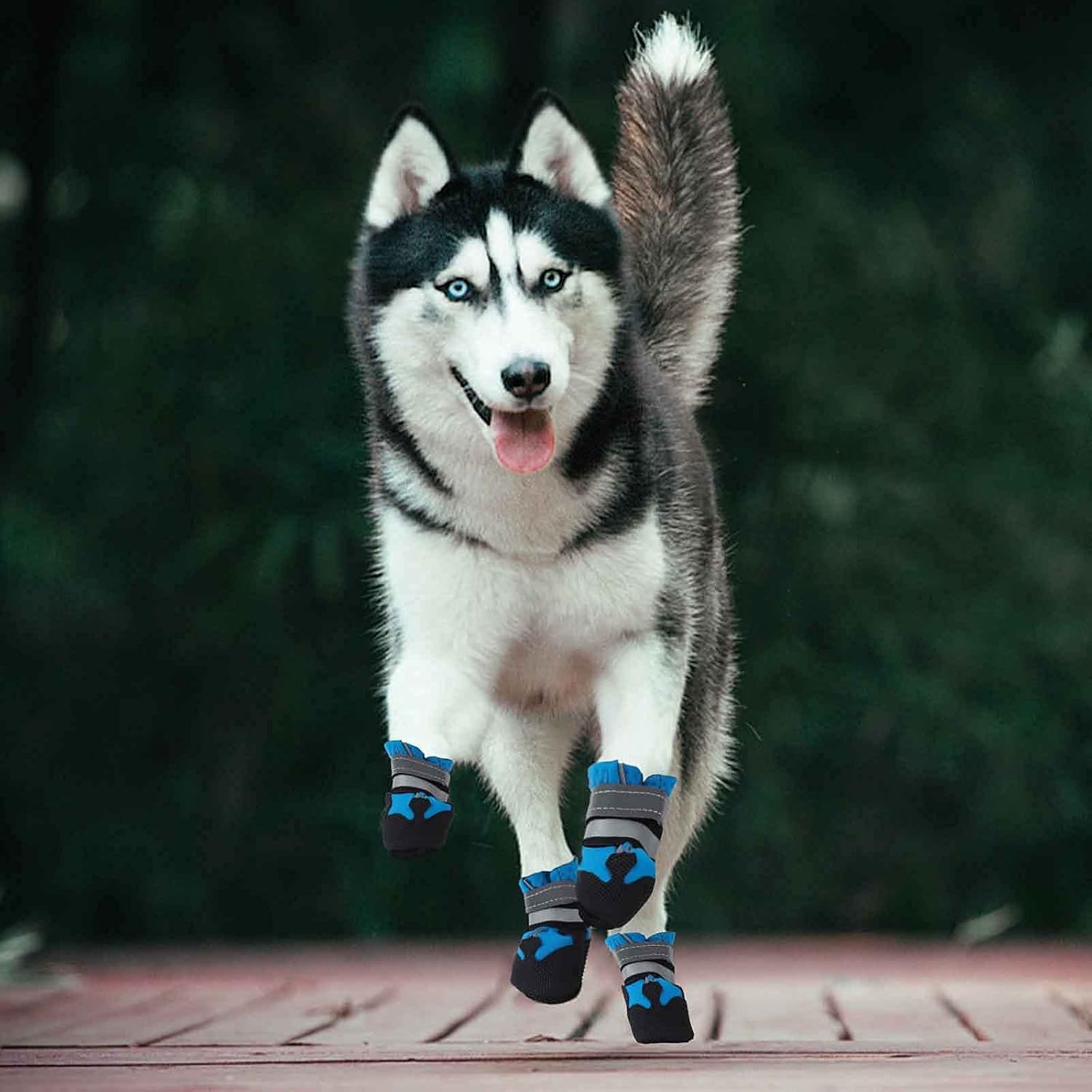Waterproof Dog Boots - Set of 4