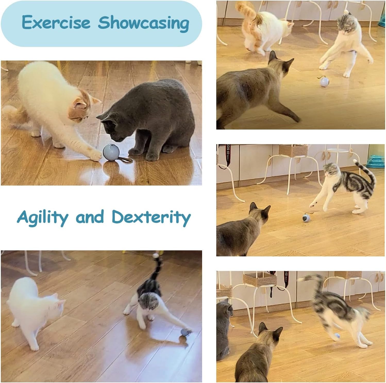Interactive Cat Ball Toy Set - Automatic Rolling Chase Ball with Fluffy Tail and Small Mouse, Rechargeable (White)
