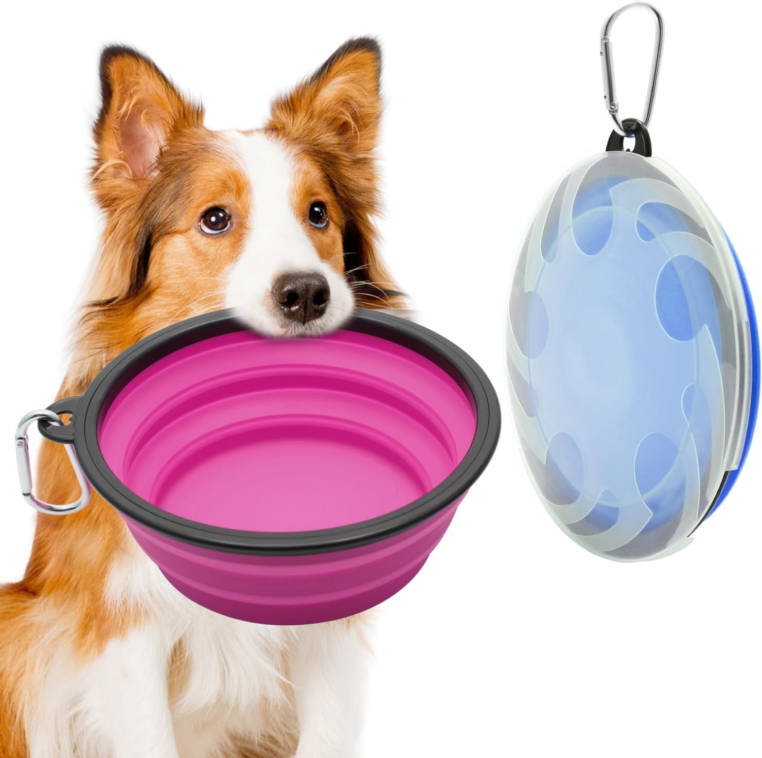 Portable Collapsible Pet Bowl Set