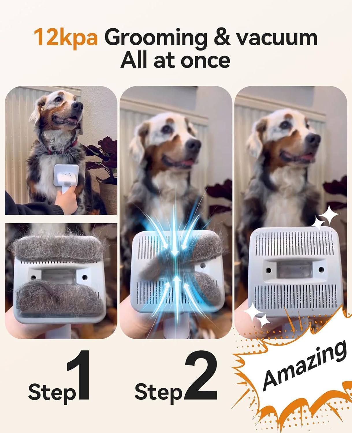 Professional Dog Grooming Kit with Vacuum