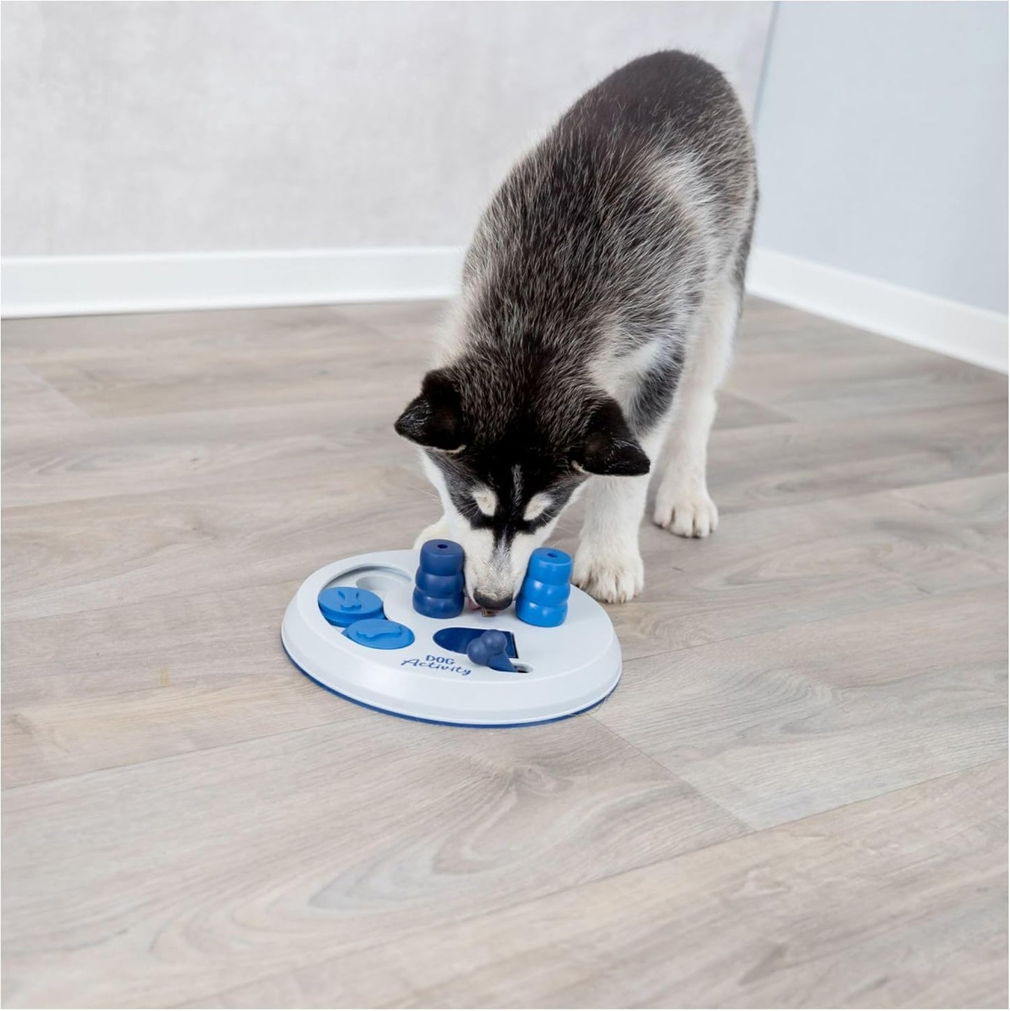 Dog Activity Strategy Game Flip Board