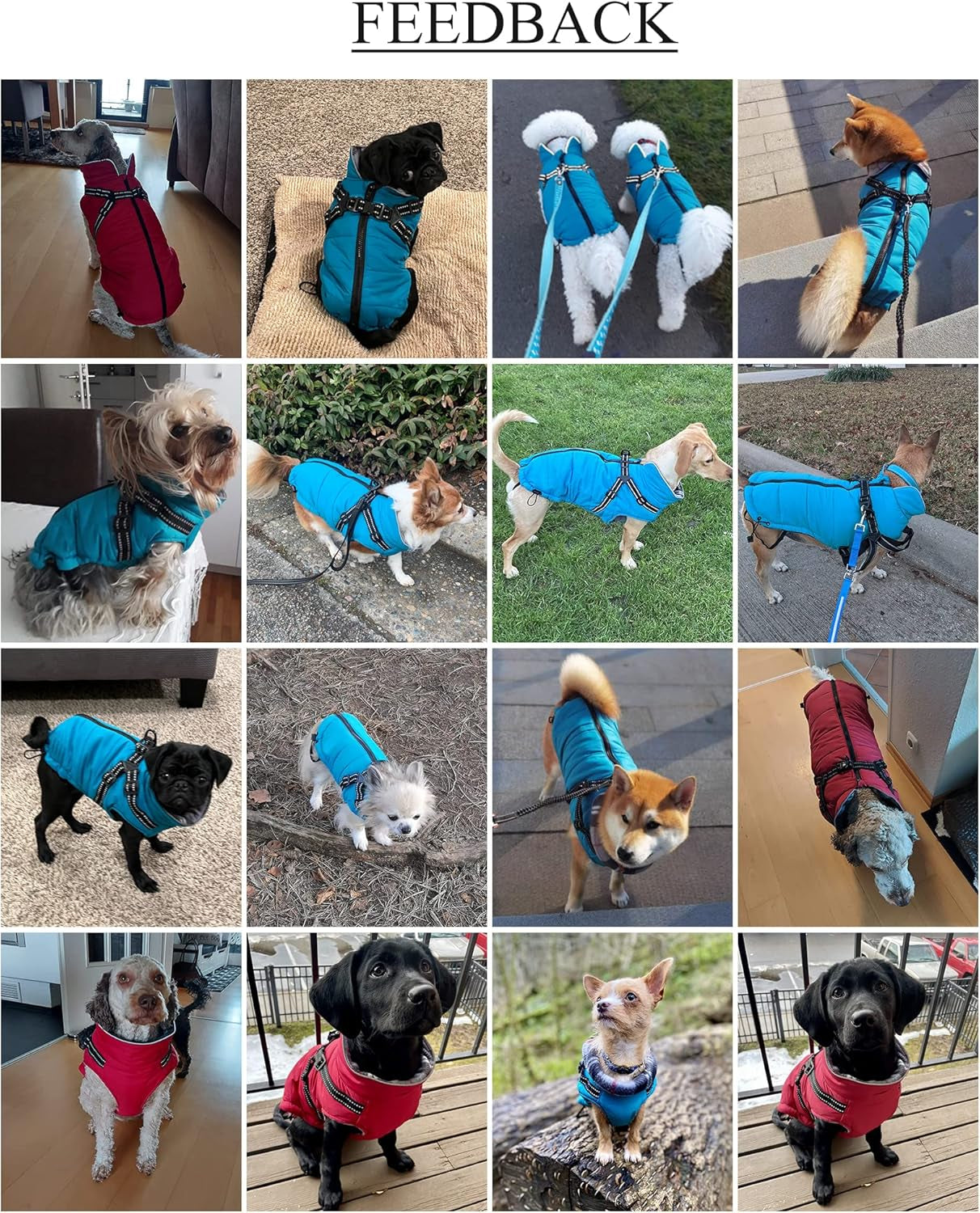 Waterproof Reflective Dog Harness Vest & Winter Coat