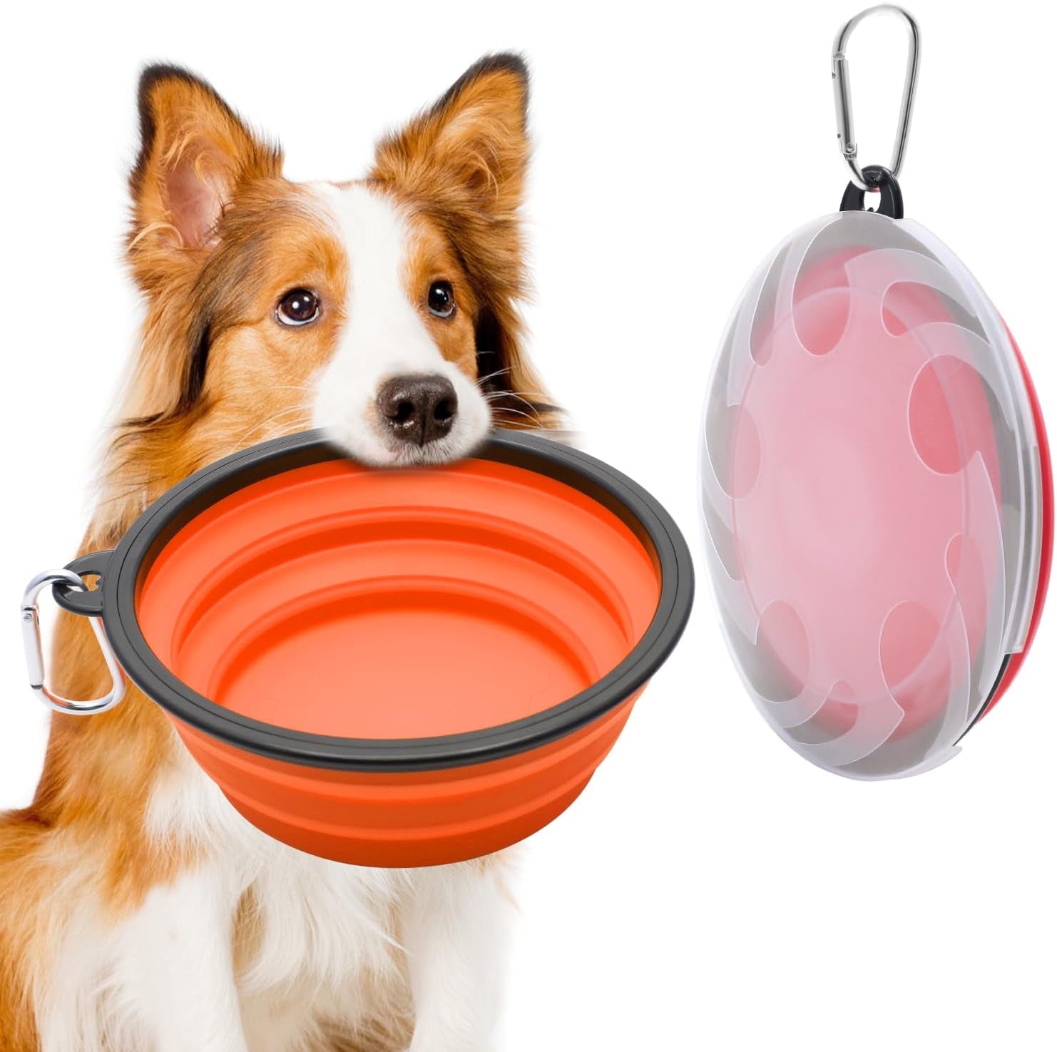 Portable Collapsible Pet Bowl Set
