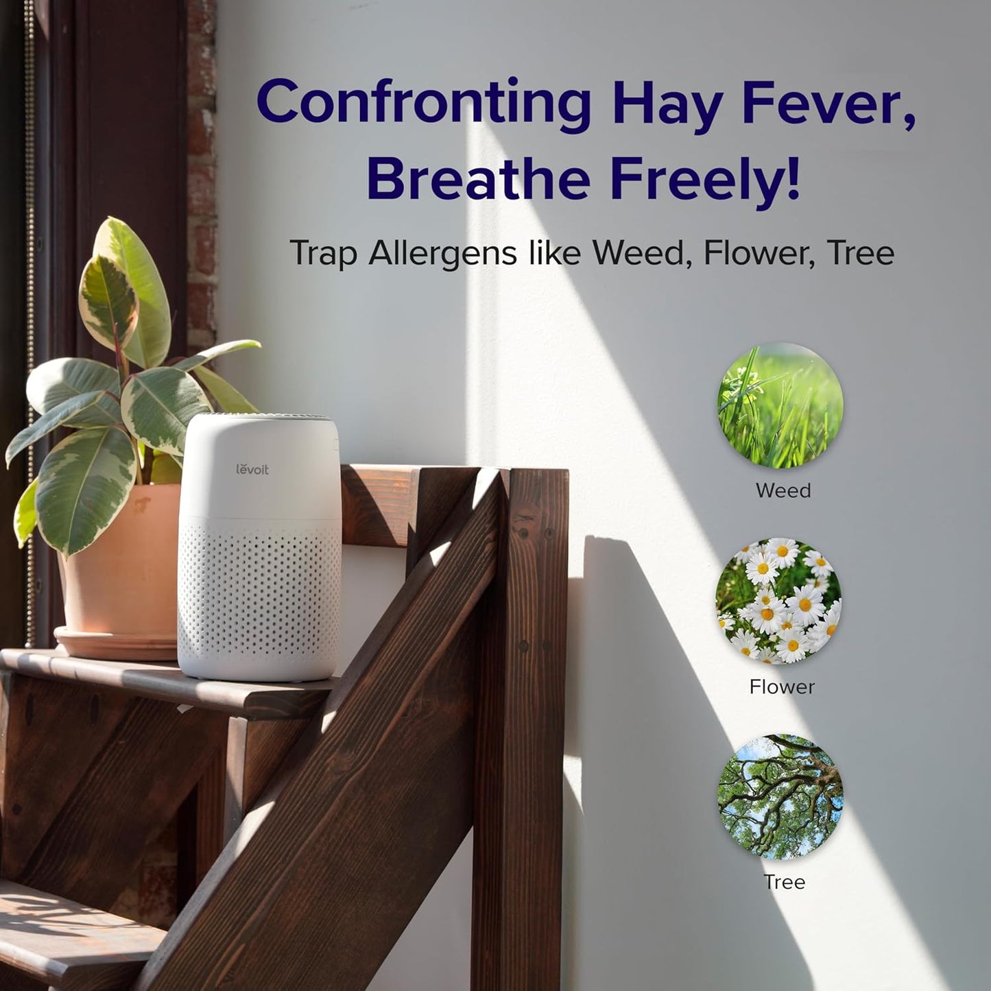 Quiet Air Purifier