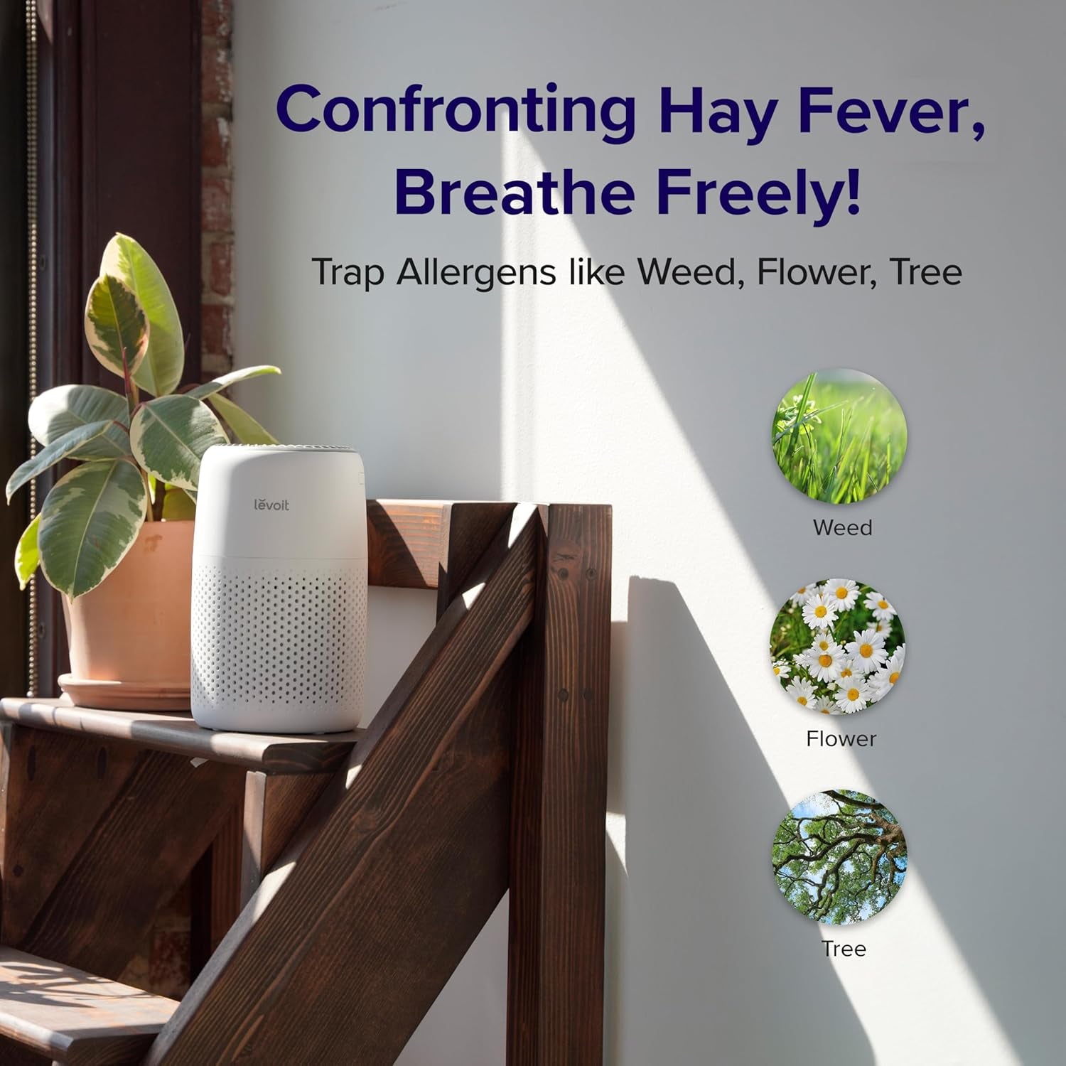 Quiet Air Purifier