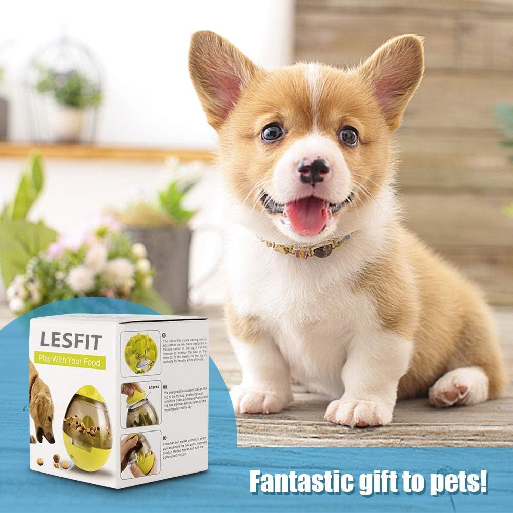 Interactive Dog Toys: Enrichment IQ Treat Dispenser Ball