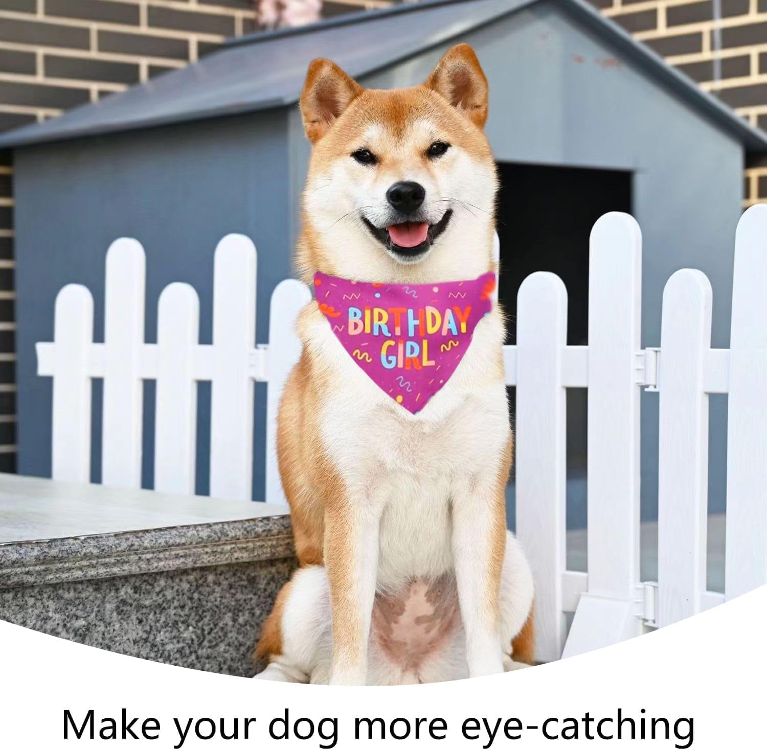 Birthday Dog Bandana