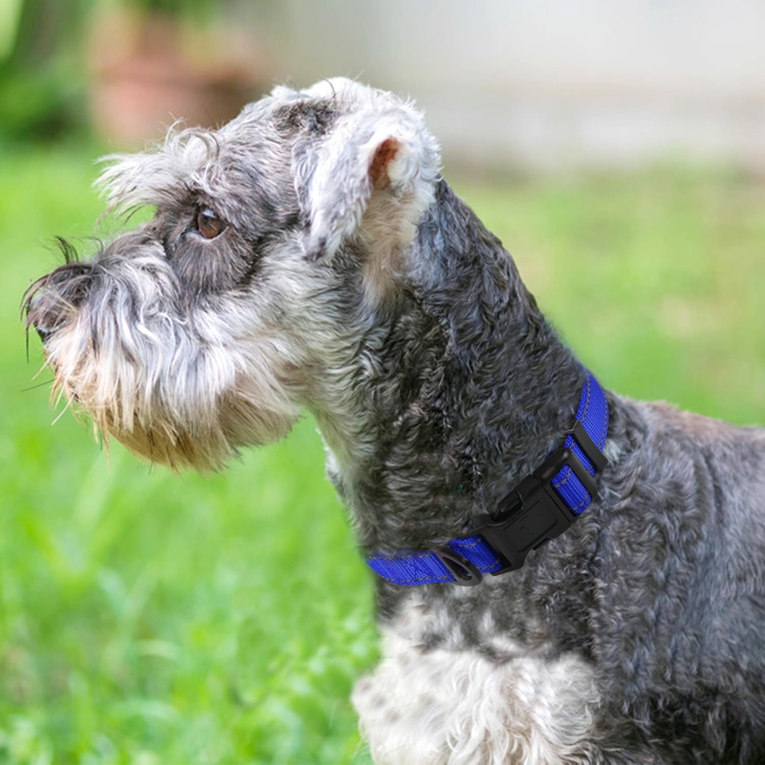 Adjustable Reflective Dog Collar