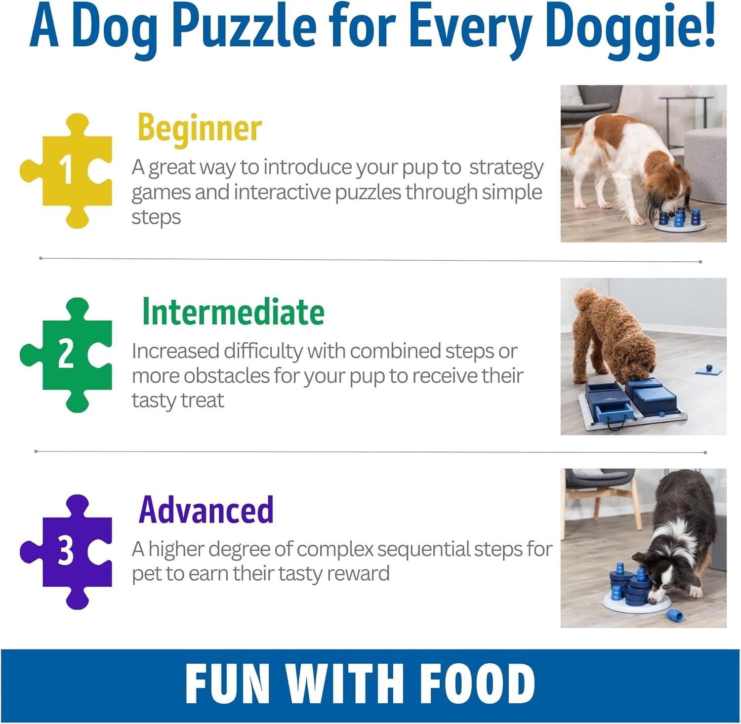 Dog Activity Strategy Game Flip Board