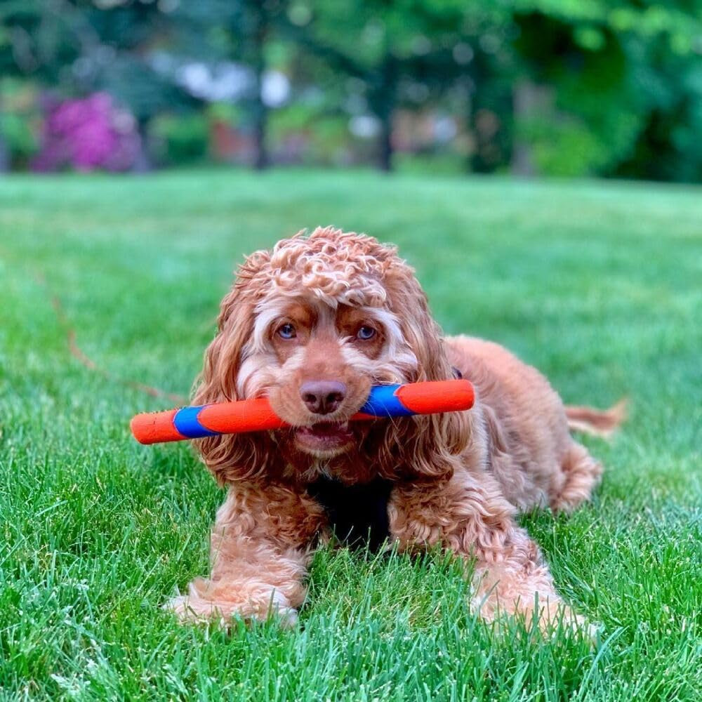 Ultra Fetch Stick Outdoor Toy