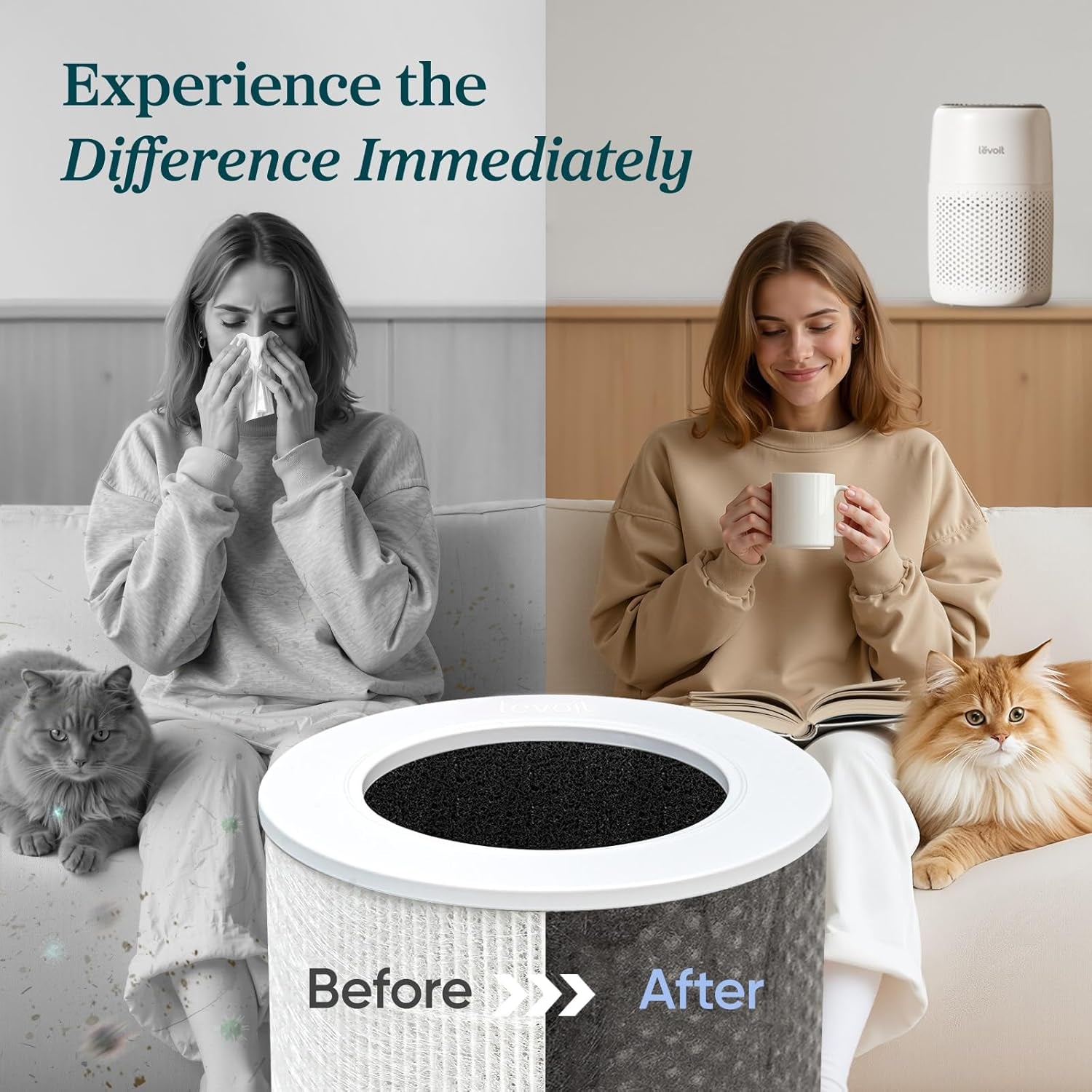 Quiet Air Purifier