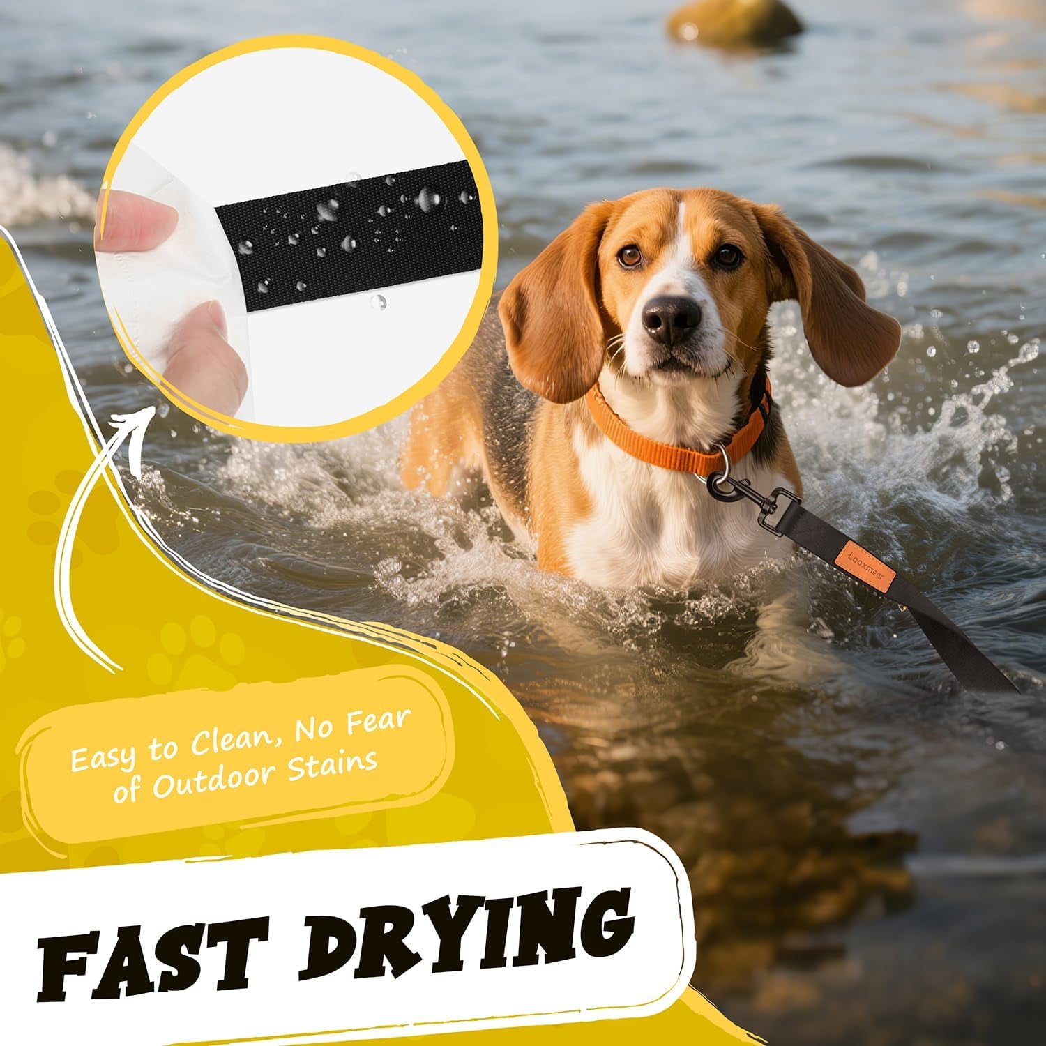 Dog Training Lead with Padded Handle & Storage Bag