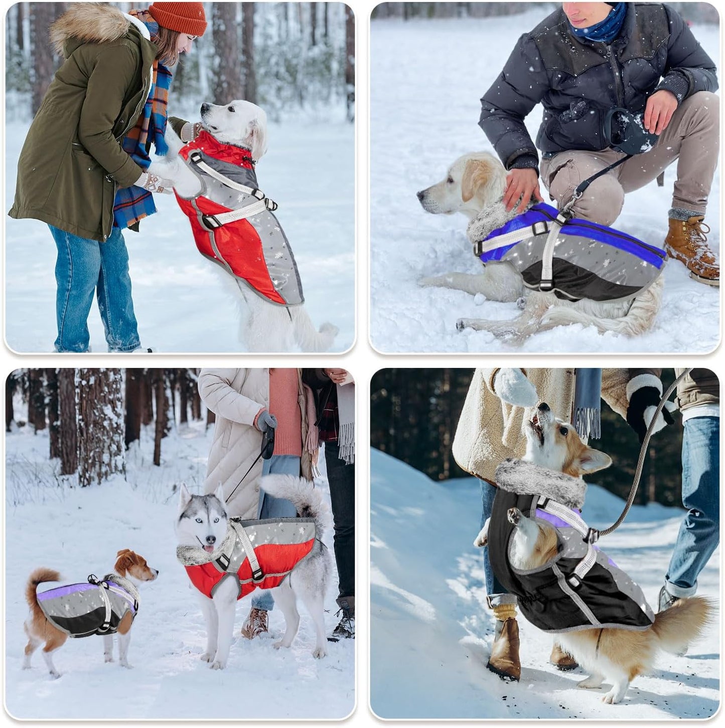 Waterproof Winter Dog Coat