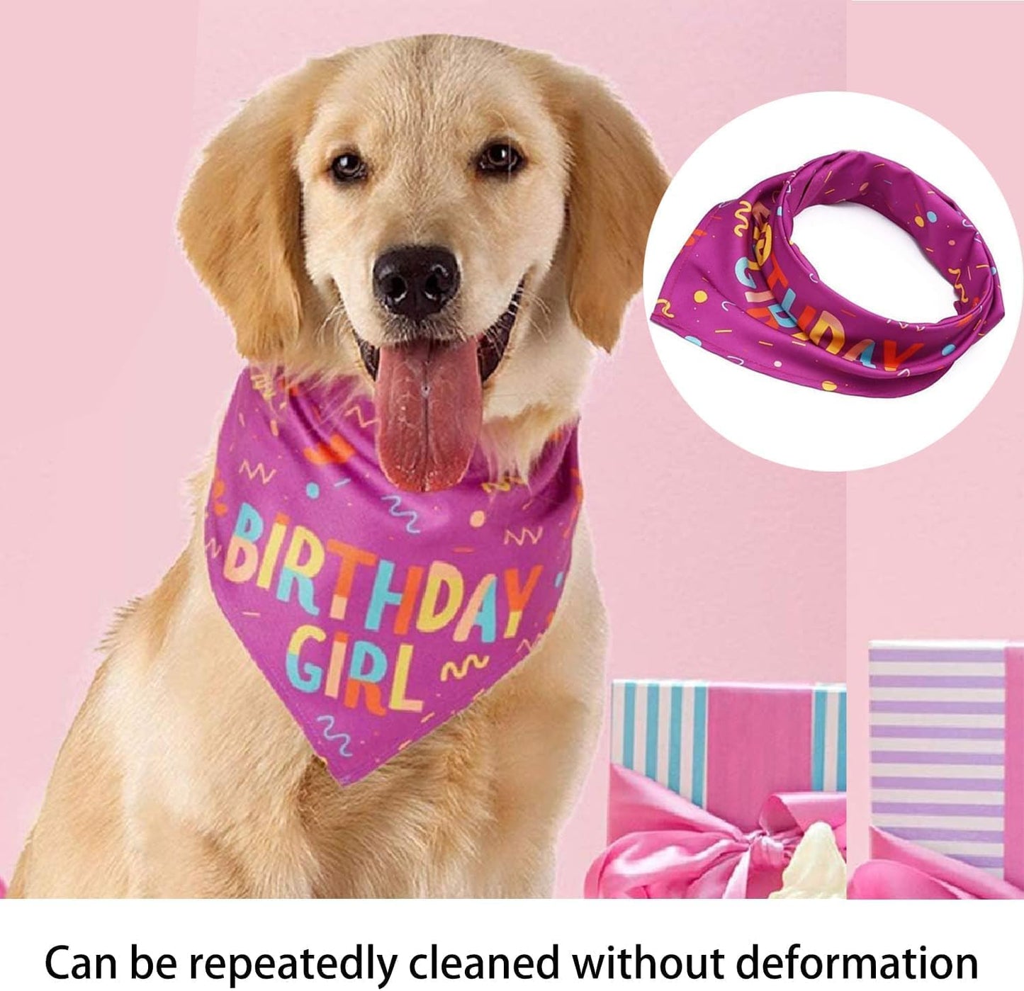 Birthday Dog Bandana