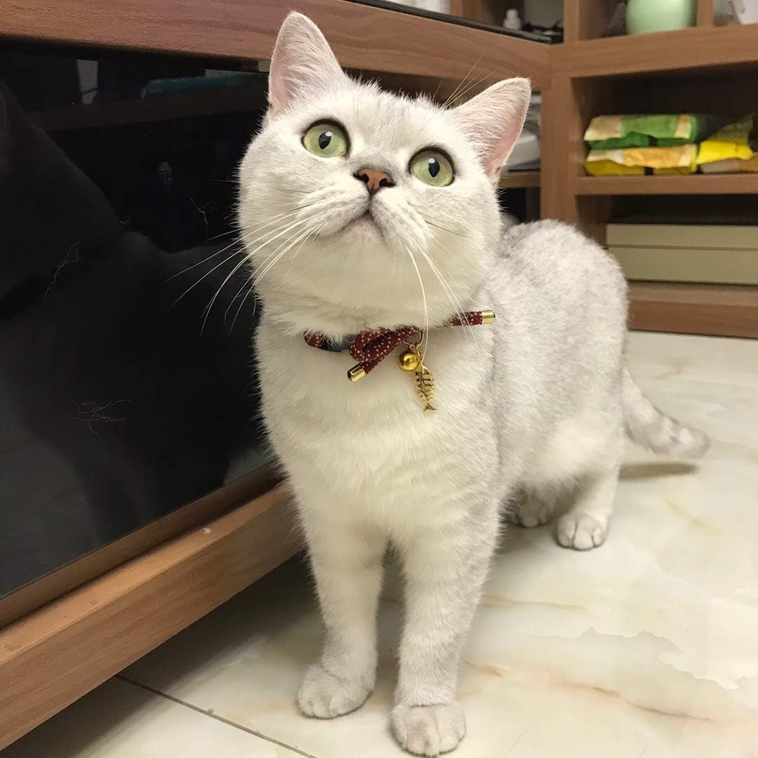 Stylish Cat Collar with Bell & Fish Bone Charm