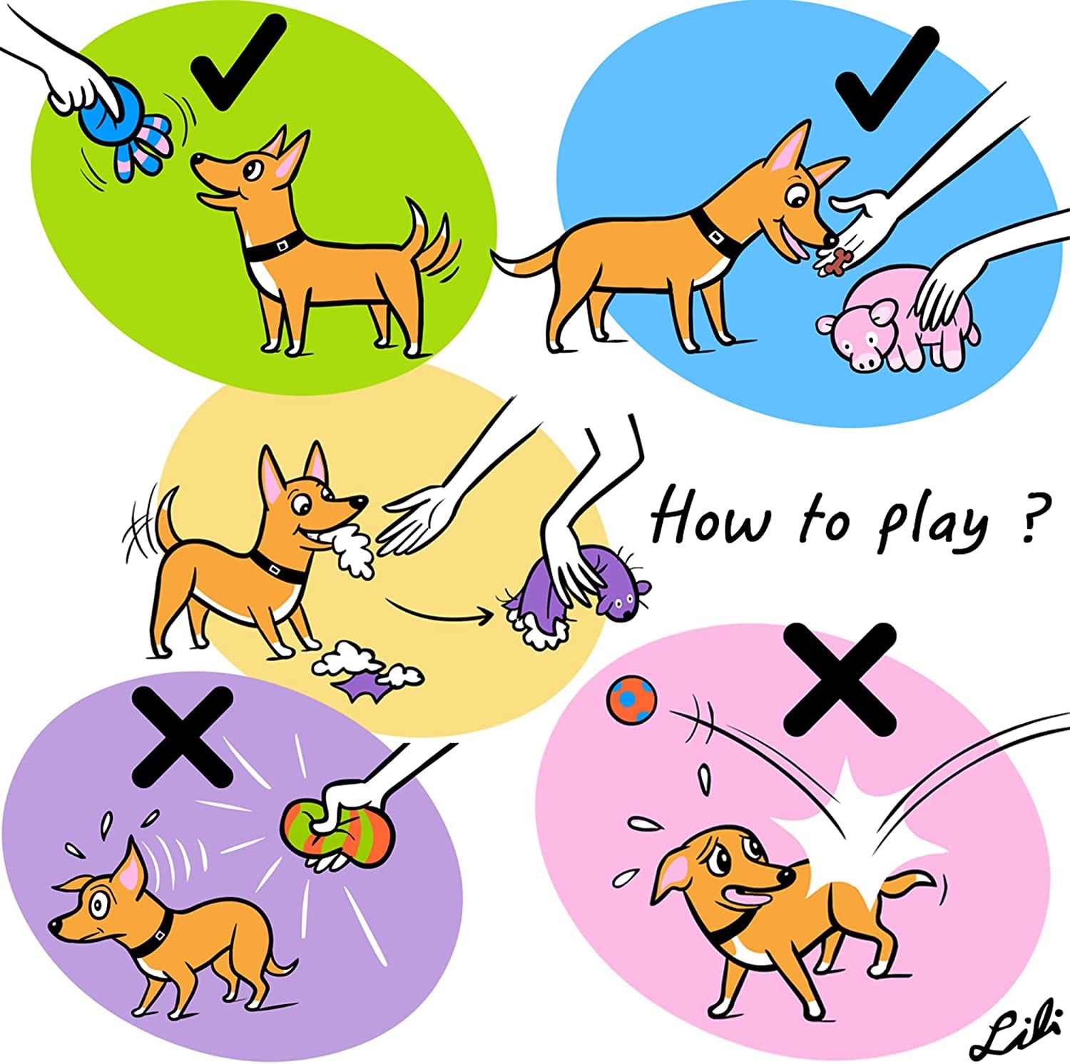 Interactive Assorted Squeaky Puppy Toy Set