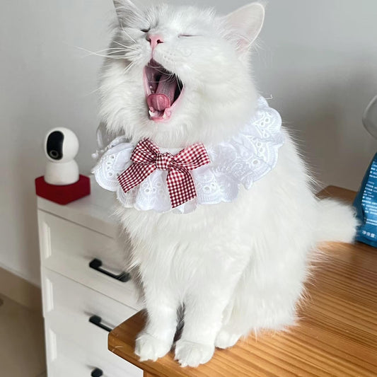 Pet Scarf for Birthday Celebrations
