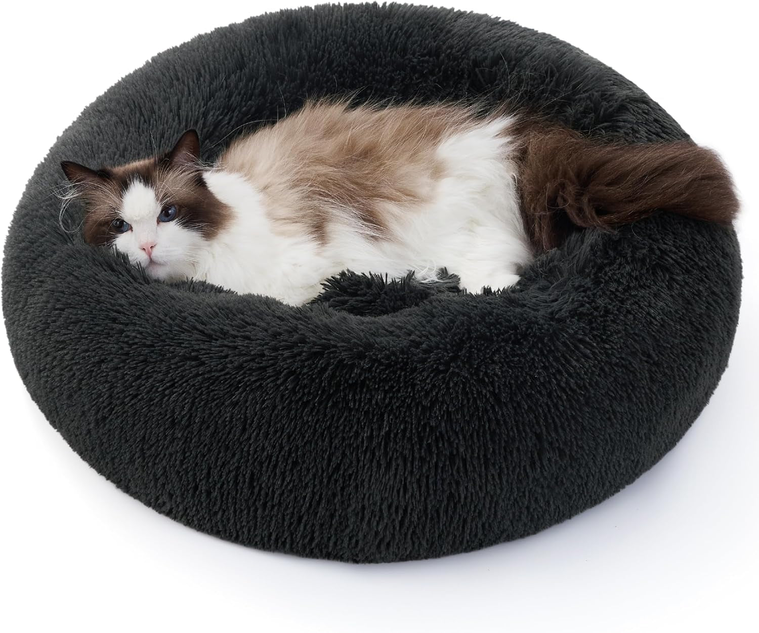 Large Cat Donut Bed