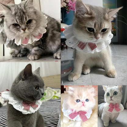 Pet Scarf for Birthday Celebrations