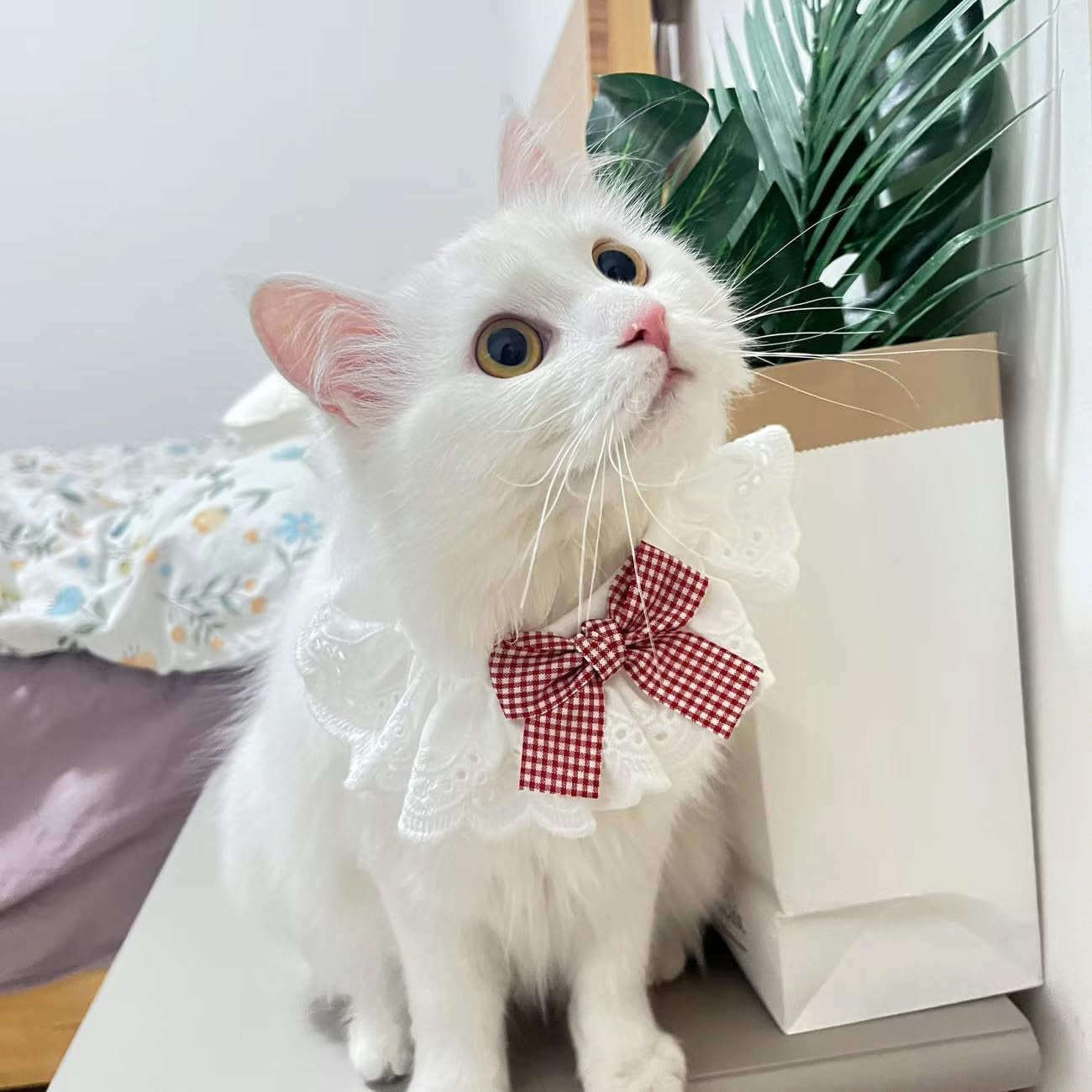 Pet Scarf for Birthday Celebrations