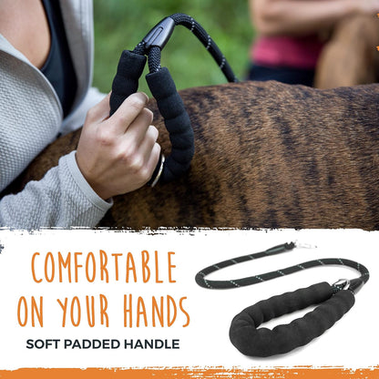 Dual Pet Leash with Comfort Grip