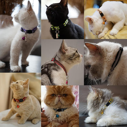 Reflective Cat Collar with Quick Release Buckle