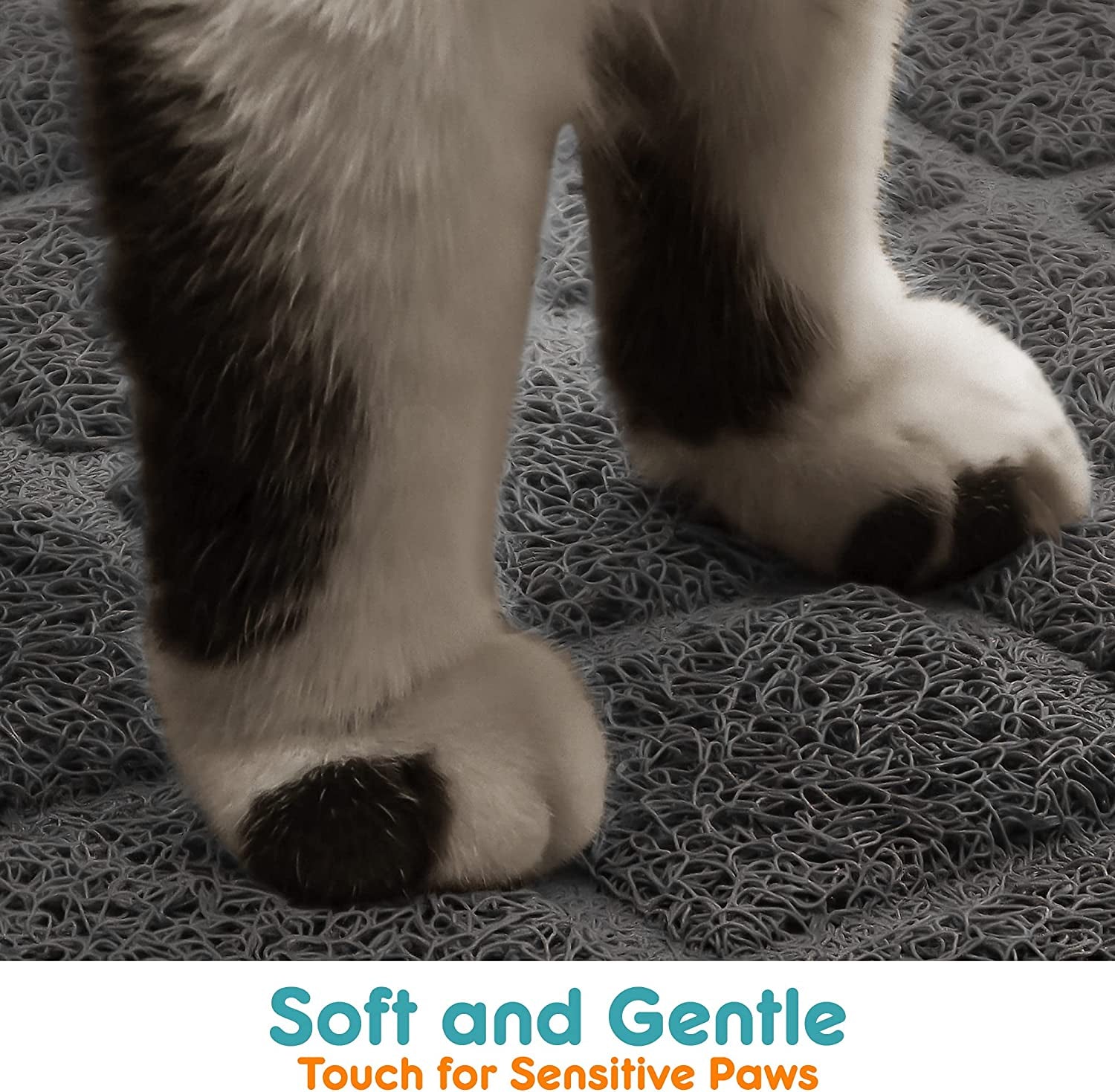Premium Pet Litter Mat