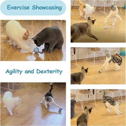 Interactive Cat Ball Toy Set - Automatic Rolling Chase Ball with Fluffy Tail and Small Mouse, Rechargeable (White)