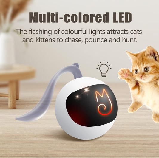 Interactive Cat Ball Toy Set - Automatic Rolling Chase Ball with Fluffy Tail and Small Mouse, Rechargeable (White)