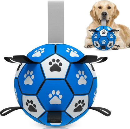 Interactive Durable Water Ball