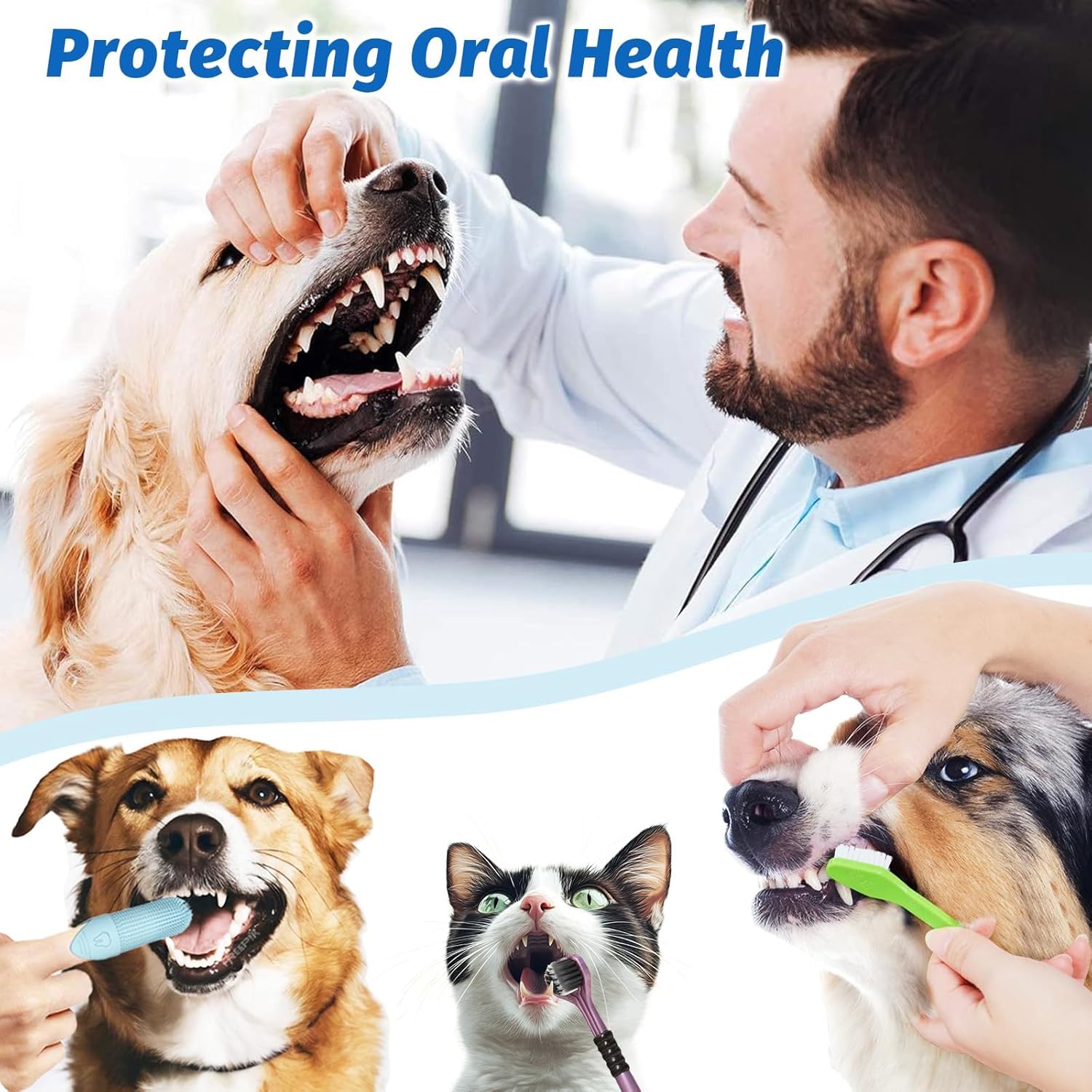 Pet Toothbrush Set