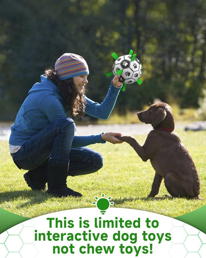 Interactive Durable Water Ball