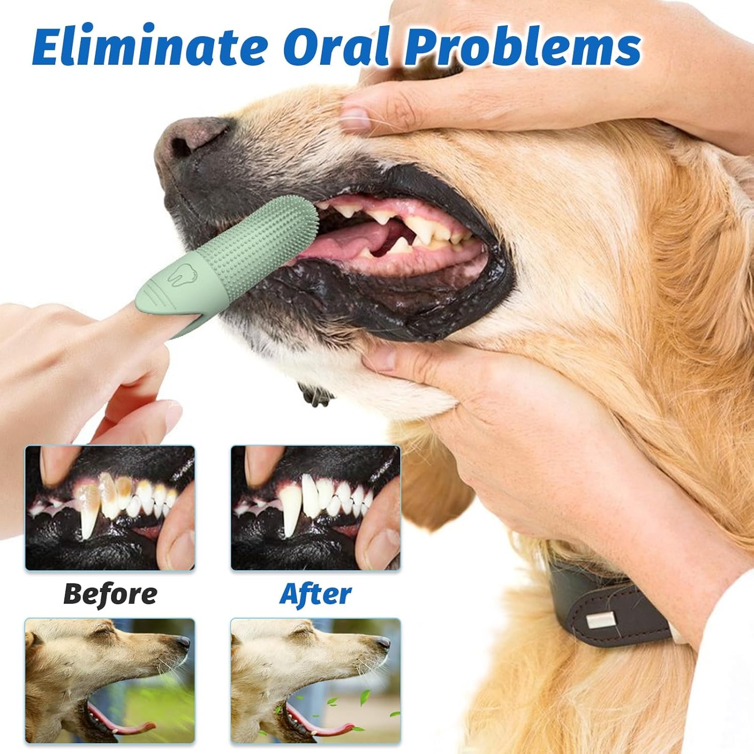 Pet Toothbrush Set