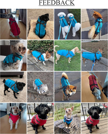 Waterproof Reflective Dog Harness Vest & Winter Coat