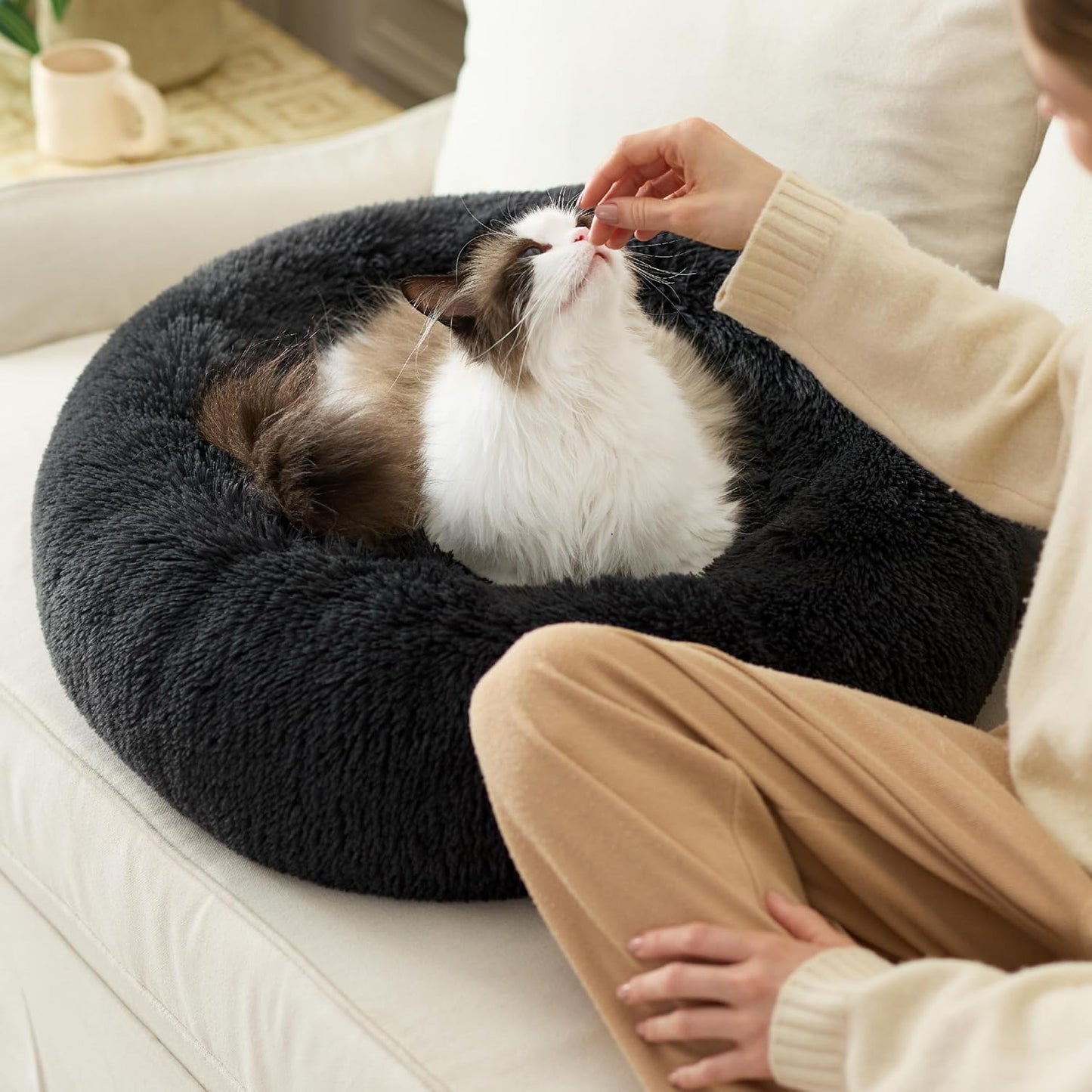 Large Cat Donut Bed