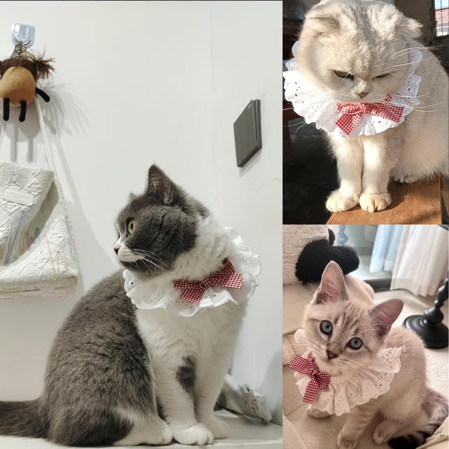 Pet Scarf for Birthday Celebrations