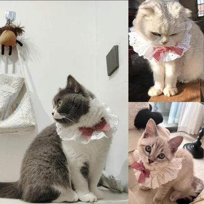 Pet Scarf for Birthday Celebrations