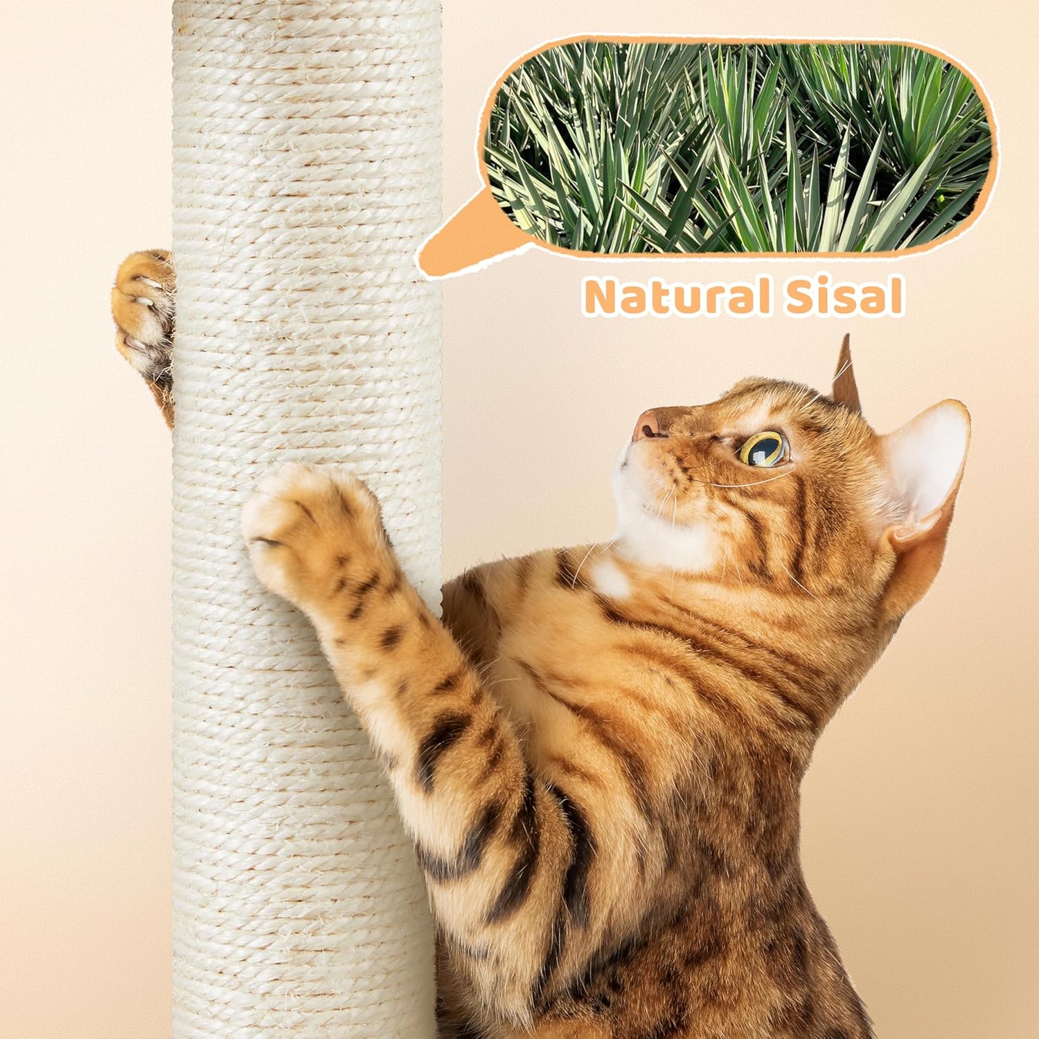 Small Cat Tower